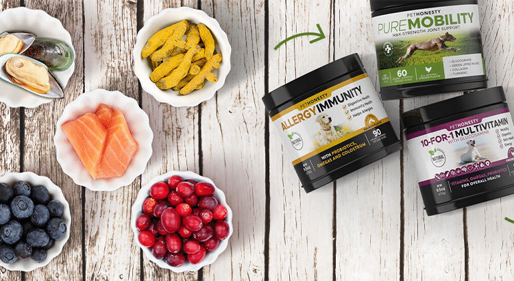 PetHonesty products with bowls of fruits and vegetables