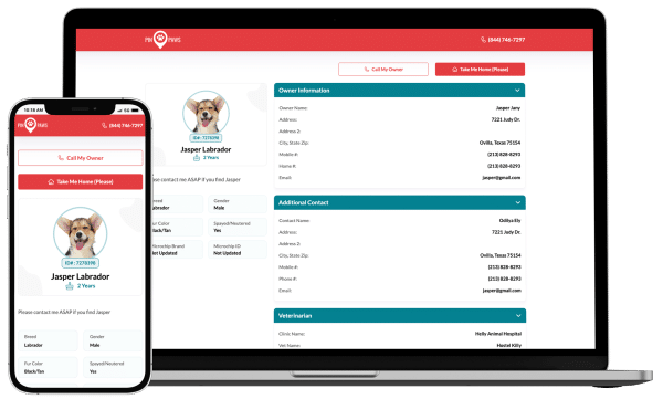 A Bundled Discount Pet Membership- Pin Paws Plus